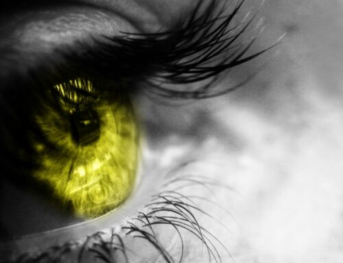 No es solo una opcion