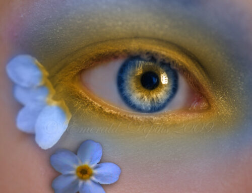 Perdoname desde el cielo